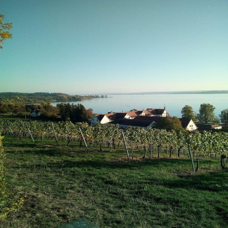 Ferienwohnung Am Bodensee Uhldingen-Mühlhofen Extérieur photo